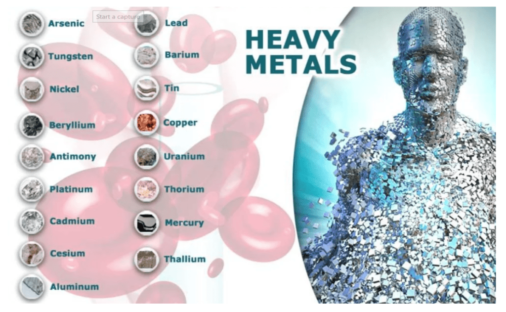 #healinghousedoctor #healthathome #drmichelle #heavymetals