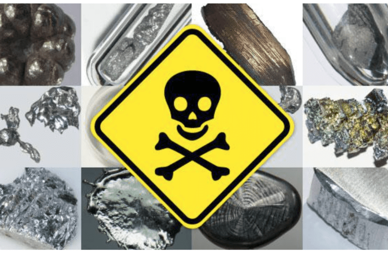 Take Control of Your Health at Home in Hollywood – Know how Heavy Metals Affect You
