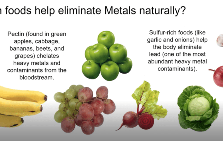 Eliminate Heavy Metals Naturally in Hollywood