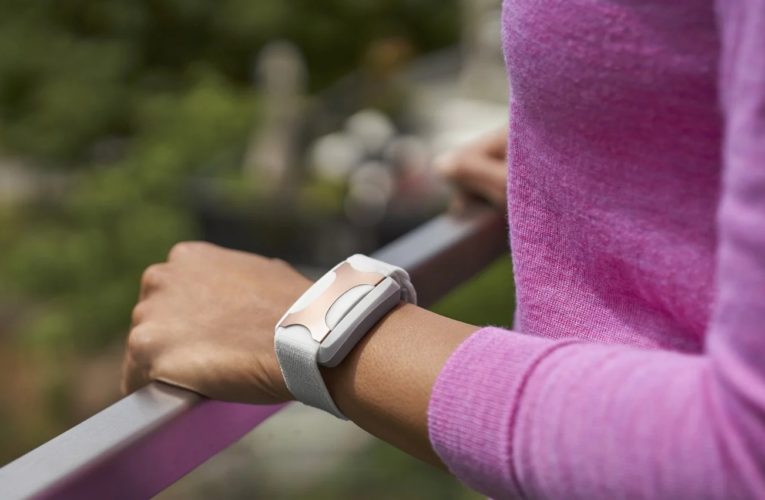 Hollywood: Can a Wearable Device Reduce Stress?